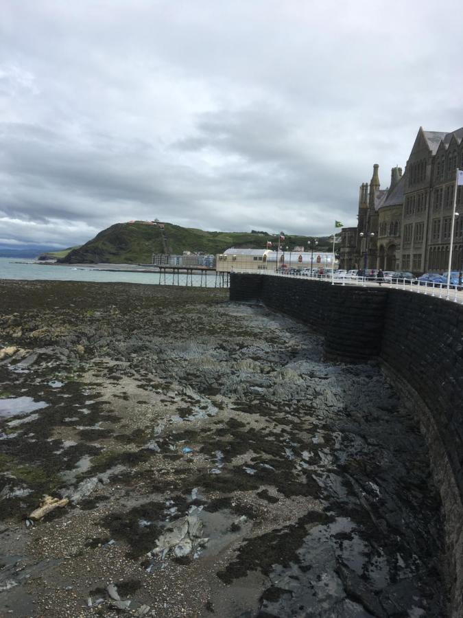 Bed and Breakfast Bryncoed Aberystwyth Zewnętrze zdjęcie